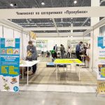 Чемпионат по алгоритмике Прокубики на УчСибе 2018